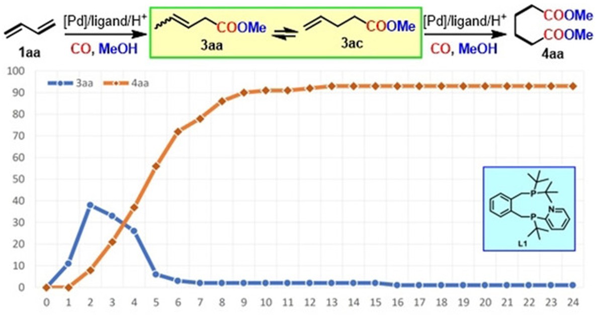 TOC for Efficient Palladium-Catalyzed Carbonylation of 1,3-Dienes: Selective Synthesis of Adipates and Other Aliphatic Diesters