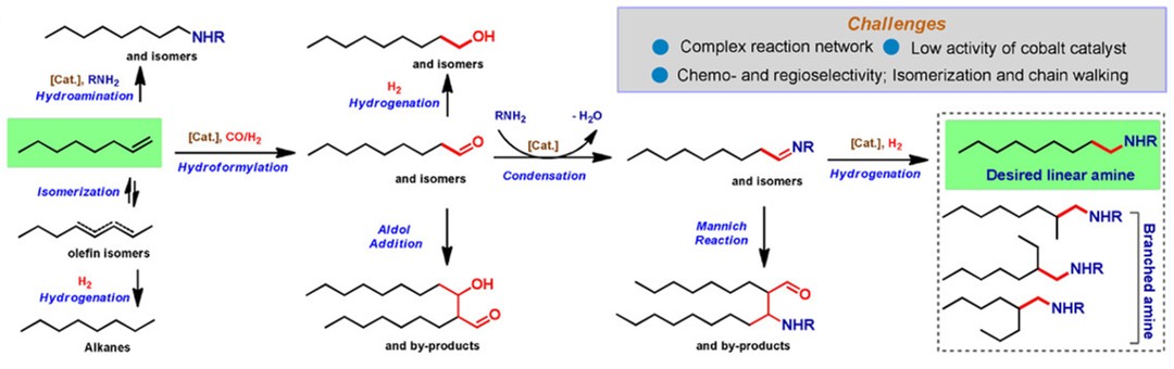 TOC for A Selective and General Cobalt-Catalyzed Hydroaminomethylation of Olefins to Amines